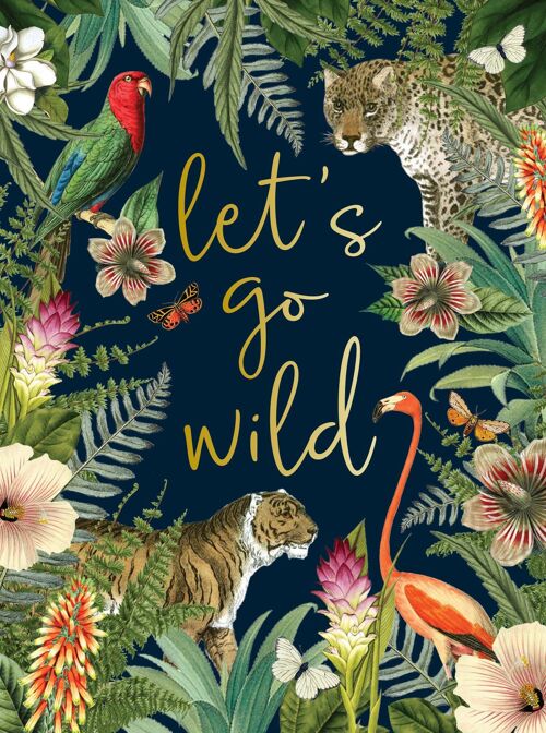 Archive - Let's Go Wild