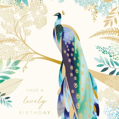 Aloha Peacock - Lovely Birthday