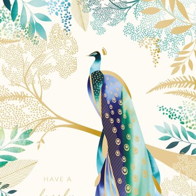 Aloha Peacock – Schöner Geburtstag