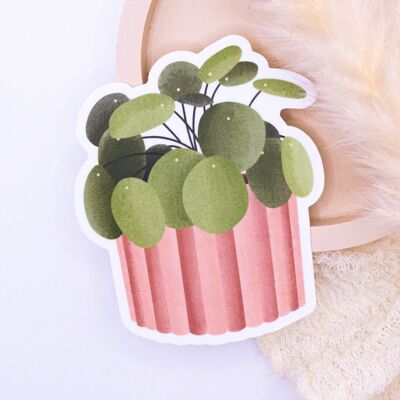 Sticker Pflanze Pilea - Zimmerpflanze Aufkleber Kiss Cut