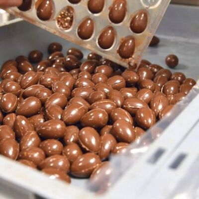 LOTE A GRANEL - Huevos de avellana orgánicos en chocolate con leche al 37% - lote de 60