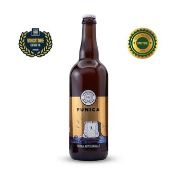 Punica 0.75Cl - Blonde Strong Ale - Bière artisanale 1