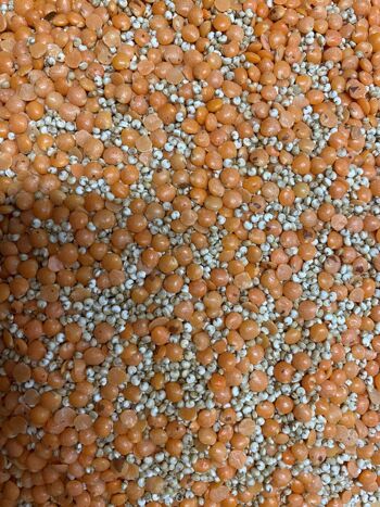 Mélange quinoa/lentilles corail BIO origine France - 500g 3