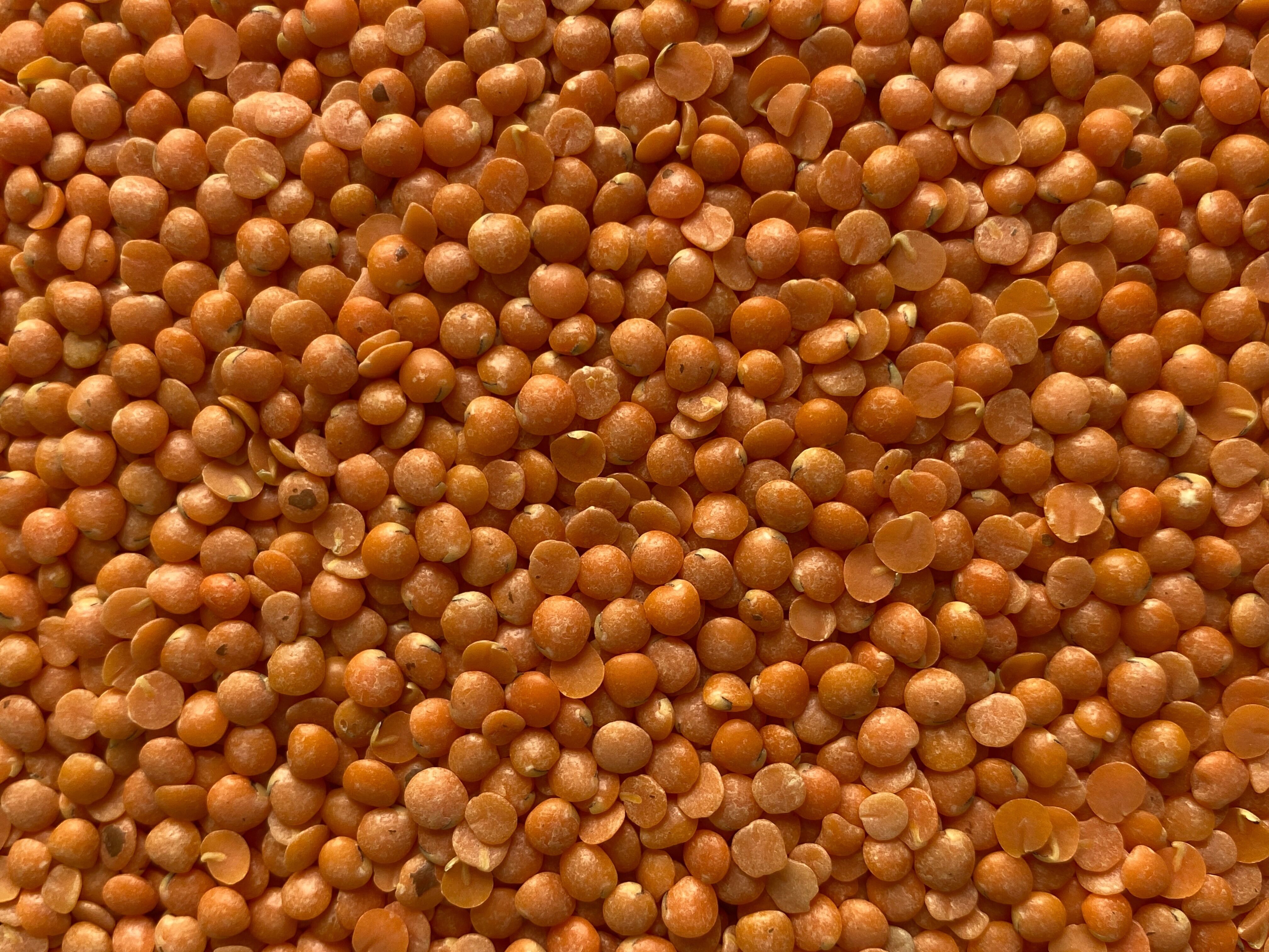 Lentilles corail BIO origine France - 5kg