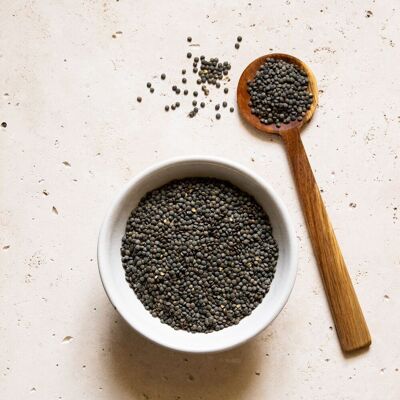 Lentilles vertes BIO origine France - 5kg