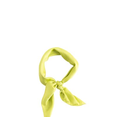 Foulard Multiway Vert