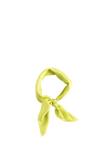 Foulard Multiway Vert 1