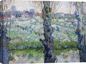 Peinture sur toile : Vincent van Gogh, Vue d'Arles 1