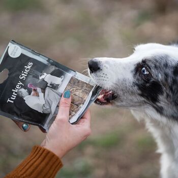 Prix ​​​​du bâton de friction dentaire à la dinde pour chiens 100 g - Taille régulière 2x2 2