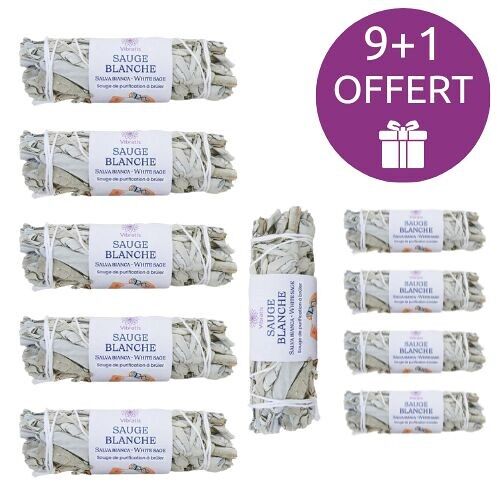 9 + 1 OFFERT : Sauge blanche à brûler