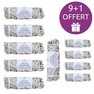 9+1 GRATIS: Salvia bianca da bruciare