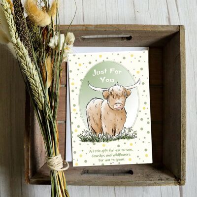 Highland cow in wildflowers. Greeting cards with a gift of seeds