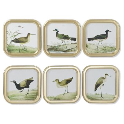 IMAGE EN VERRE MDF 30X2X30 OISEAUX ENCADRÉ 6 ASSORTIS. CU207796