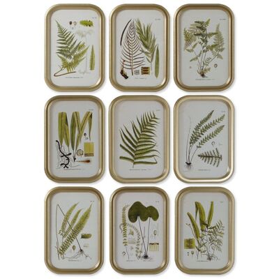 TABLEAU EN VERRE MDF BOTANIQUE 30X2X45 9 ASSORTIMENTS. CU207788