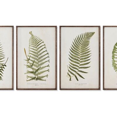 GLASS FIR PICTURE 45X2.5X70 FERN 4 ASSORTMENTS CU212077