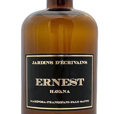 DIFFUSEUR ERNEST