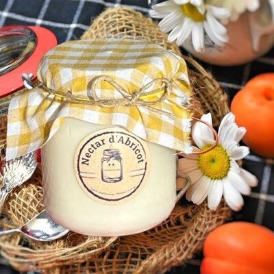 APRICOT NECTAR CANDLE 150G PICNIC