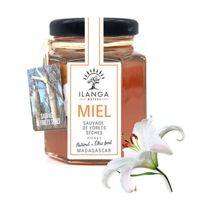 Miel de Bosque Seco 140g