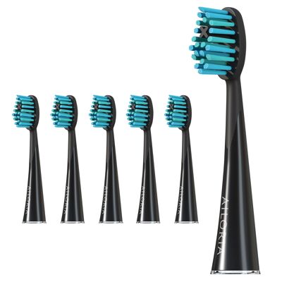 SHINE BRIGHT - Jeu de 6 têtes de brosse de rechange Extra Clean - noir