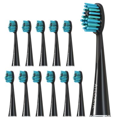 SHINE BRIGHT - Jeu de 12 têtes de brosse de rechange Extra Clean - noir