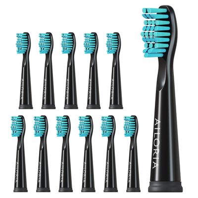 FLASH TRAVEL / PRO SMILE - Têtes de brosse de rechange lot de 12 - noir