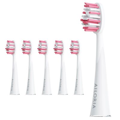 SHINE BRIGHT - Extra Clean replacement brush heads set of 6 - rose