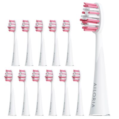 SHINE BRIGHT - Extra Clean replacement brush heads set of 12 - rose