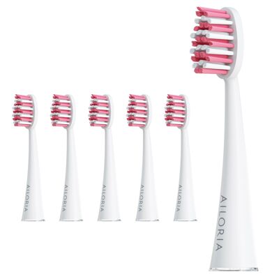 SHINE BRIGHT - set of 6 replacement brush heads - rose
