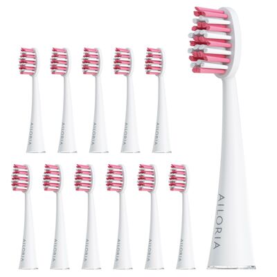 SHINE BRIGHT - Replacement brush heads set of 12 - rose
