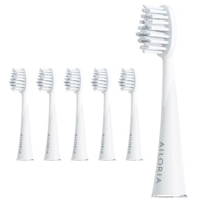 SHINE BRIGHT - Jeu de 6 têtes de brosse de rechange Extra Clean - blanc