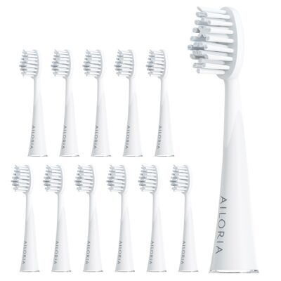 SHINE BRIGHT - Extra Clean Replacement Brush Heads Set of 12 - white