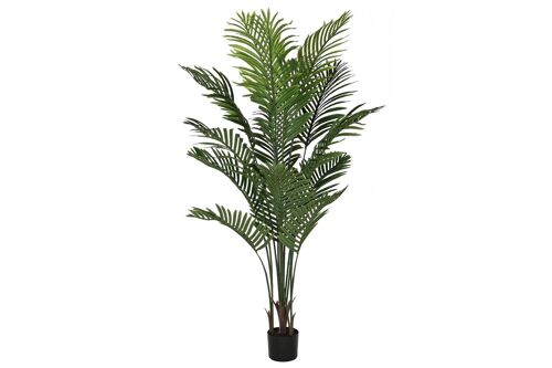 PLANTA PE CEMENTO 80X80X160 PALMERA VERDE JA210901