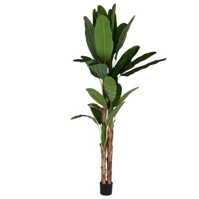 PLANTA PE CEMENTO 90X90X290 BANANERO VERDE JA210899