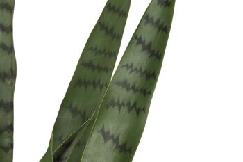 PE PP PLANTE 40X40X150 SANSEVIERIA VERDE JA209831 3