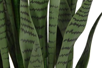 PE PP PLANTE 40X40X150 SANSEVIERIA VERDE JA209831 5