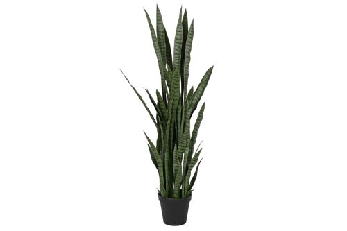 Planta Pe Pp 40X40X150 Sansevieria Verde JA209831