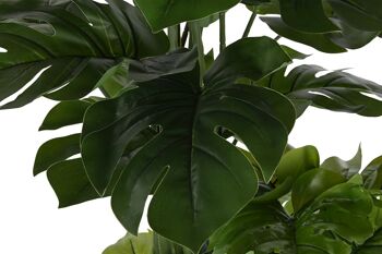 PLANTE PE PP 88X76X174 MONSTERA VERDE JA209839 2