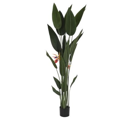 POLYESTER PLANT PP 60X60X160 BIRD OF PARADISE GREEN JA200536