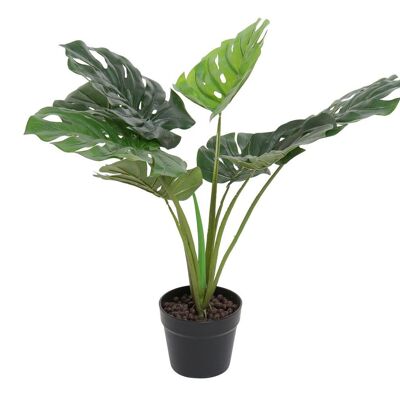 PLANTA PVC 65X65X60 MONSTERA VERDE JA186534