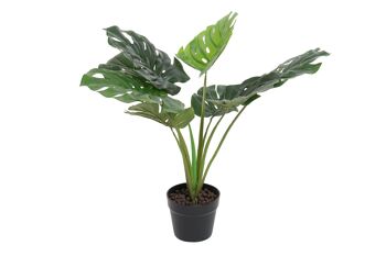 PLANTE PVC 65X65X60 MONSTERA VERDE JA186534 1