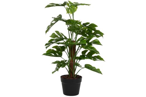 Planta Pe 30X30X60 Monstera Verde JA212495