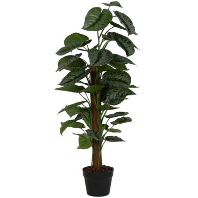 PE PLANT 45X45X95 CALATHEA GREEN JA212496