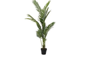 PLANTE PE 50X50X160 PALMIER ARECA VERT JA194211 1