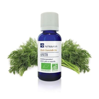 Aceite esencial de hierbas de eneldo orgánico