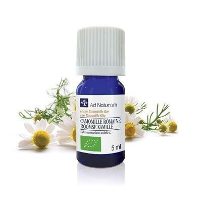 Organic Roman Chamomile essential oil