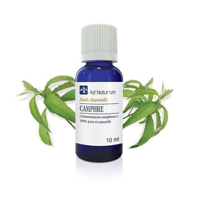 aceite esencial de alcanfor