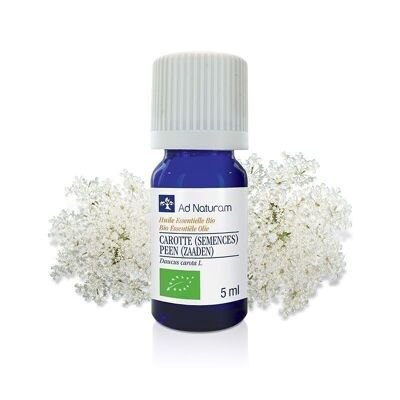 Organic Wild Carrot Seed Essential Oil