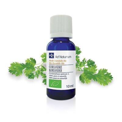 Aceite esencial de cilantro orgánico