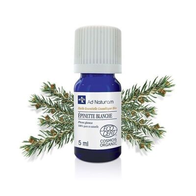 Organic White Spruce essential oil