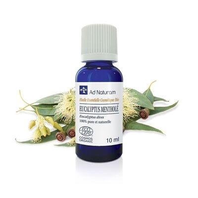 ORGANIC Menthol Eucalyptus essential oil